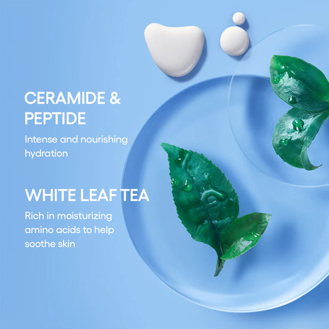 Cream Skin Mist Duo